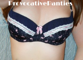 Flamingo print bra and panties - £22